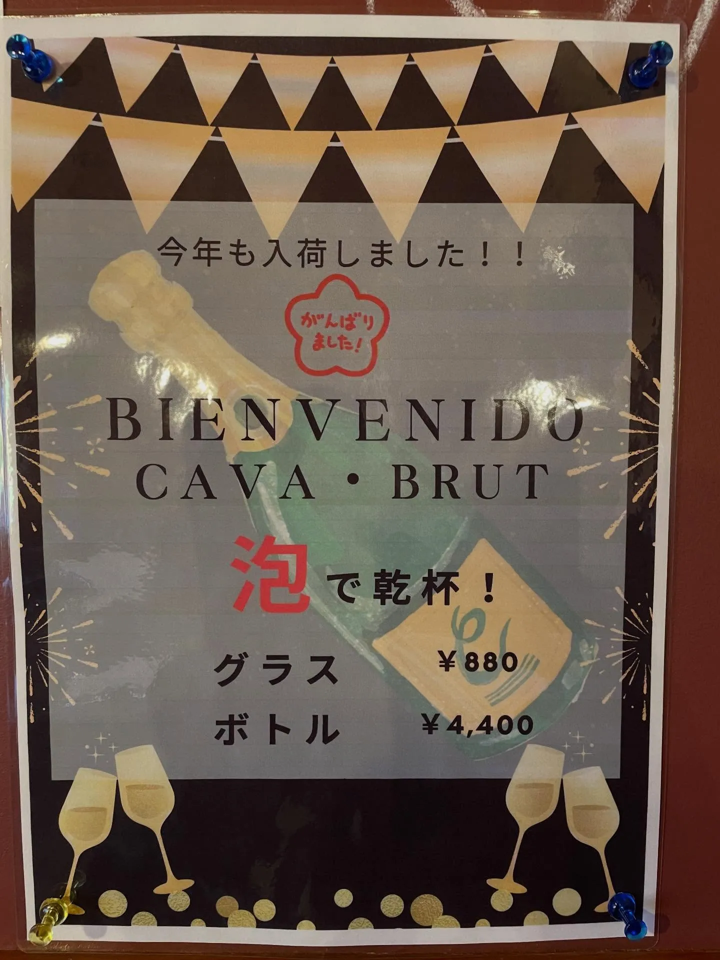 カヴァ入荷❗️